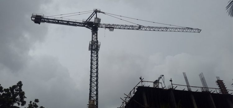 Grue à Tour